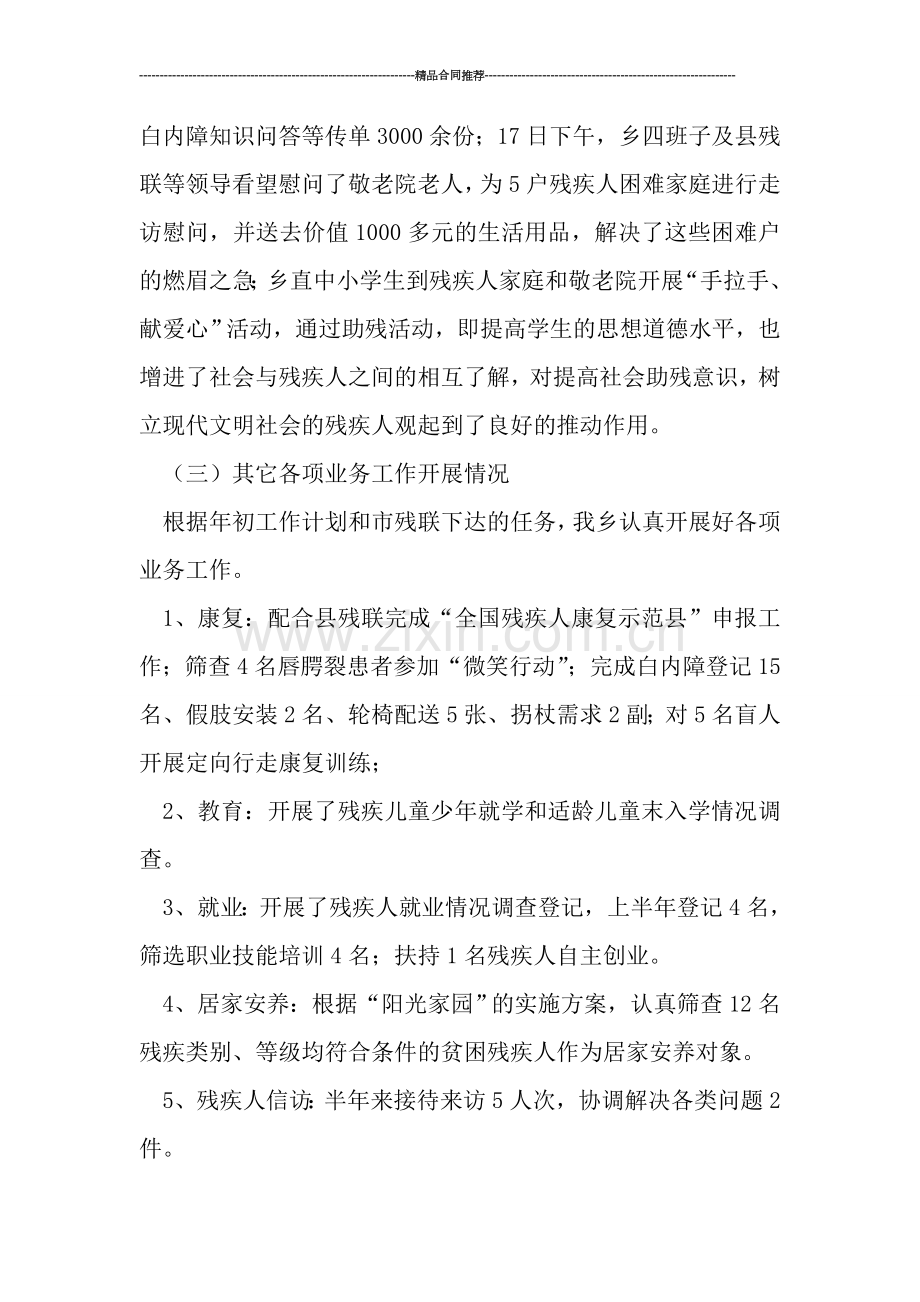 残联上半年工作总结模板.doc_第2页