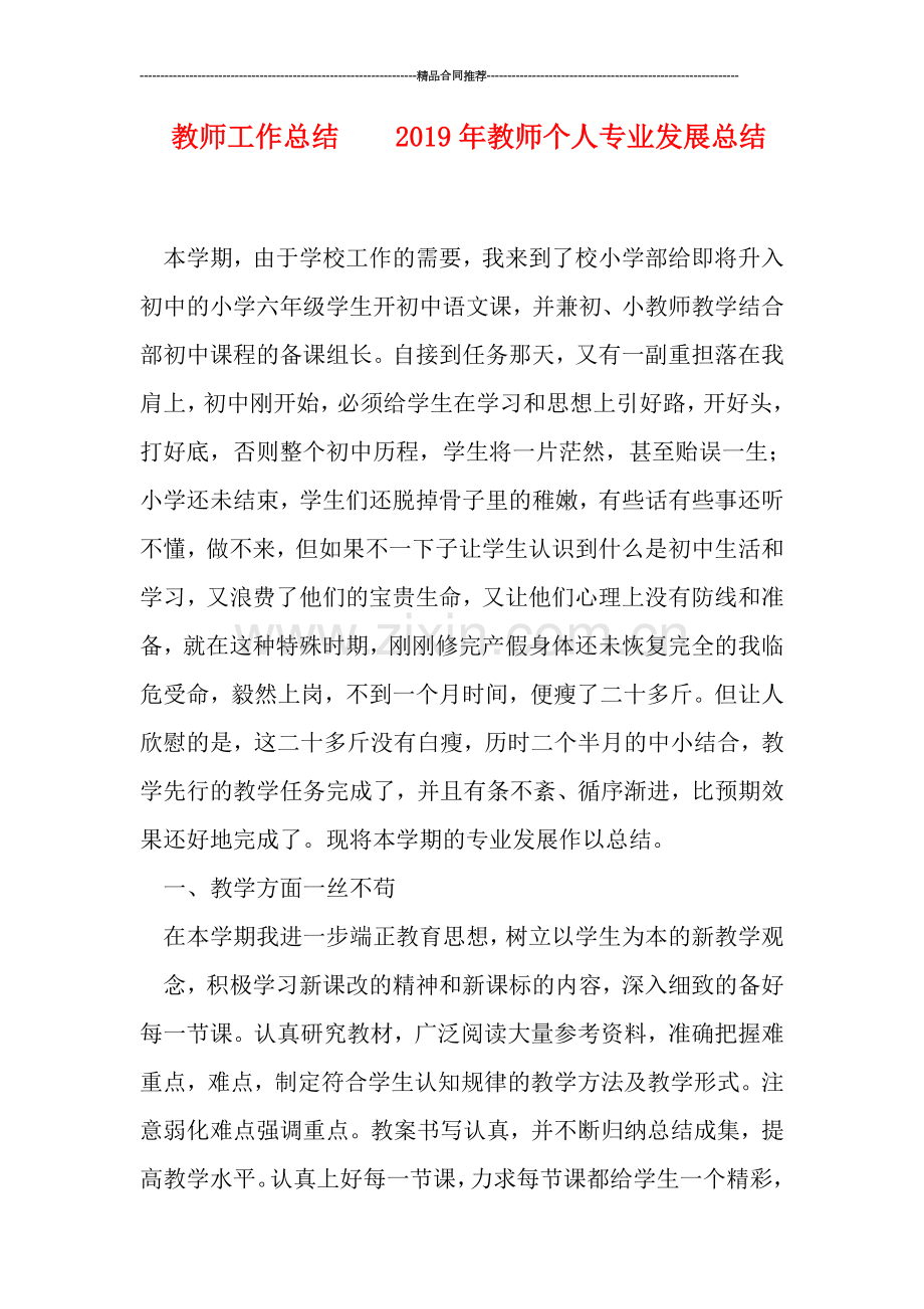 教师工作总结----2019年教师个人专业发展总结.doc_第1页