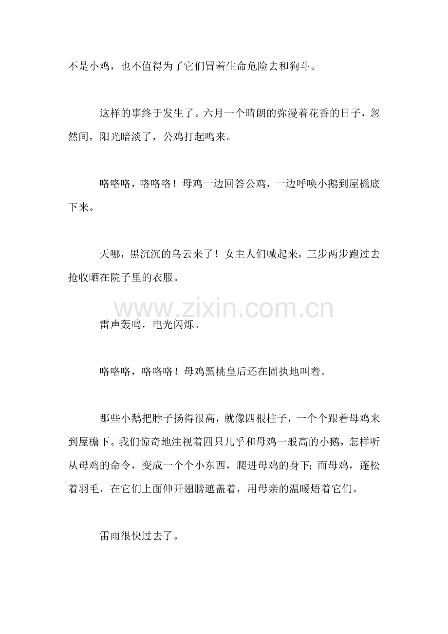 小学语文四年级教案——《母鸡》柱子上的母鸡.doc_第2页