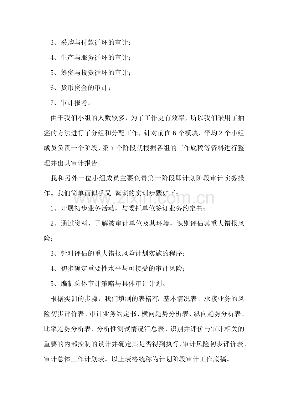 审计实训实习报告总结.doc_第2页