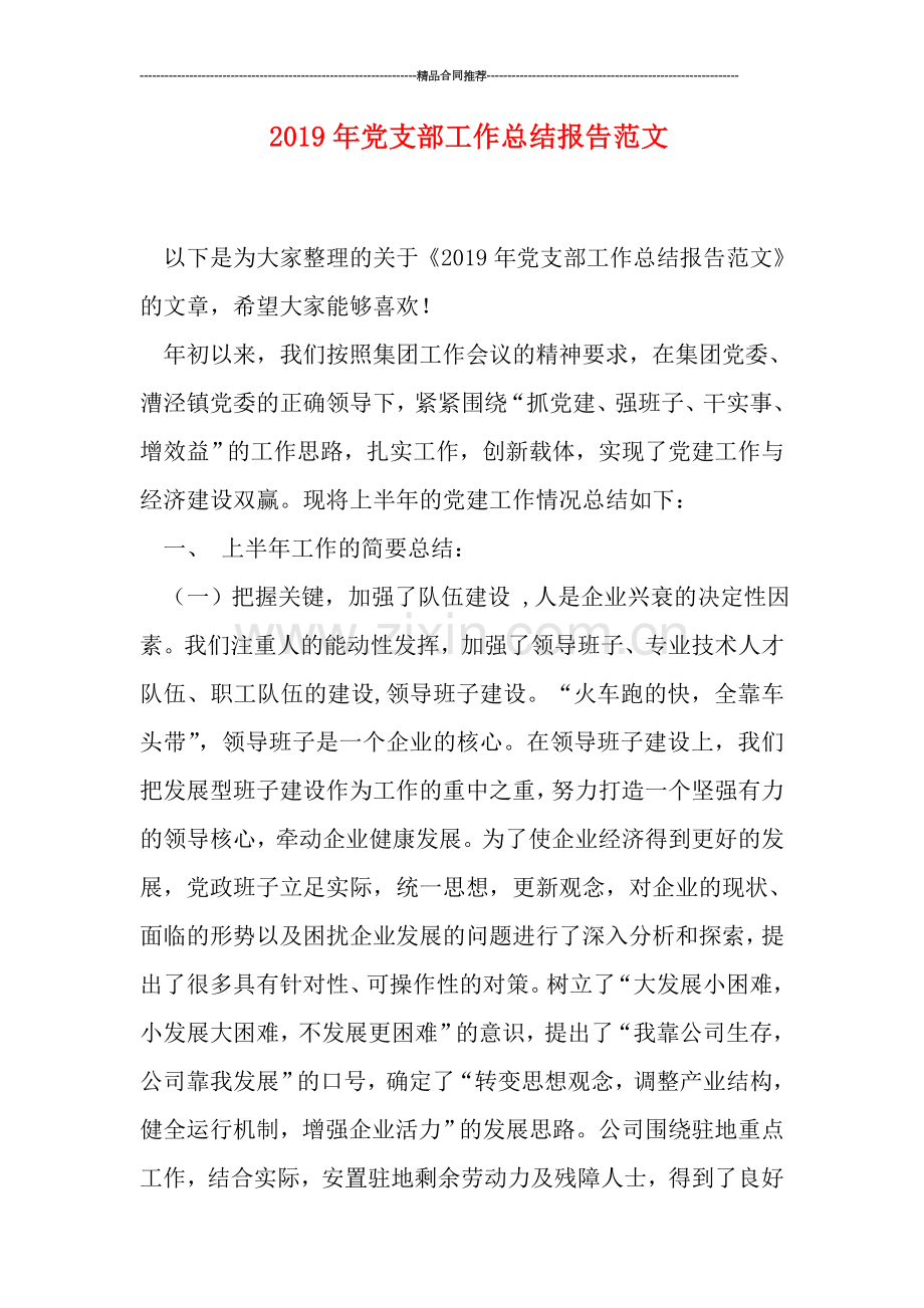 2019年党支部工作总结报告范文.doc_第1页