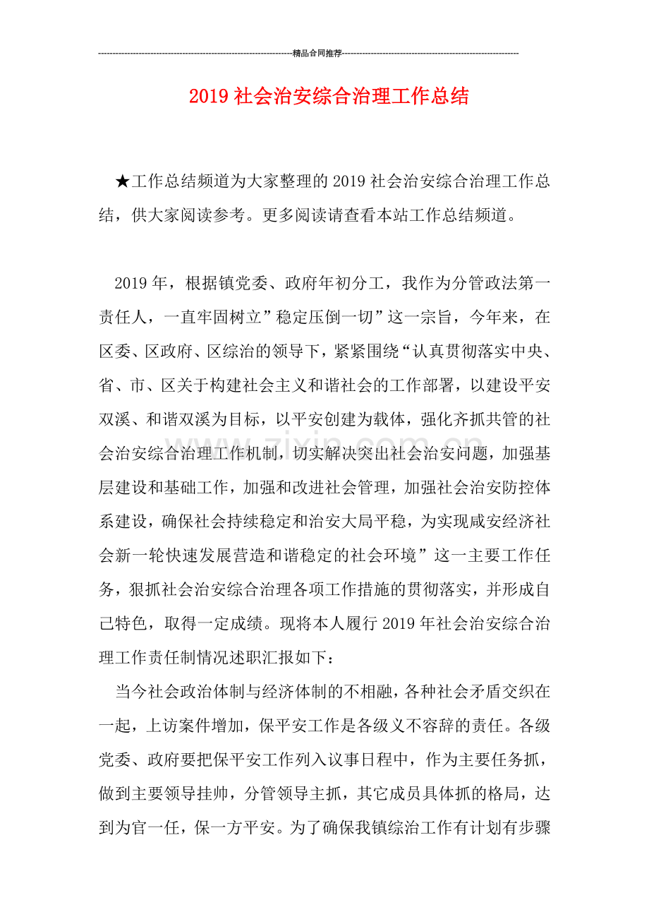 2019社会治安综合治理工作总结.doc_第1页