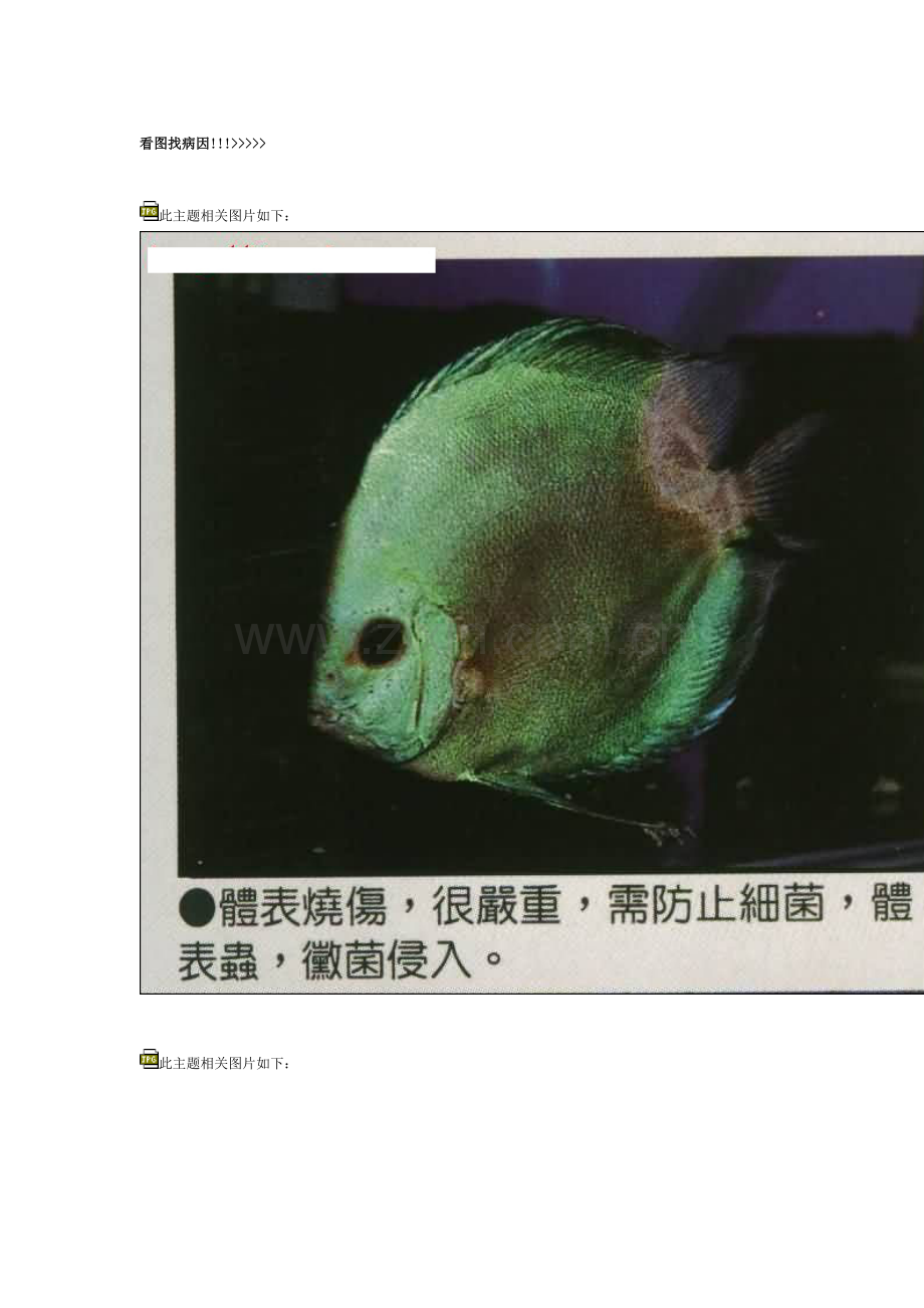 神仙鱼看图找病因.doc_第1页