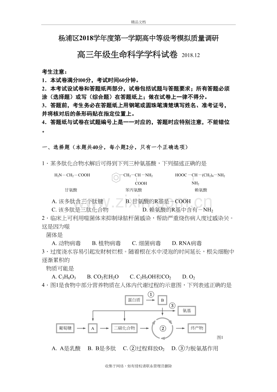 杨浦一模2019复习过程.doc_第2页
