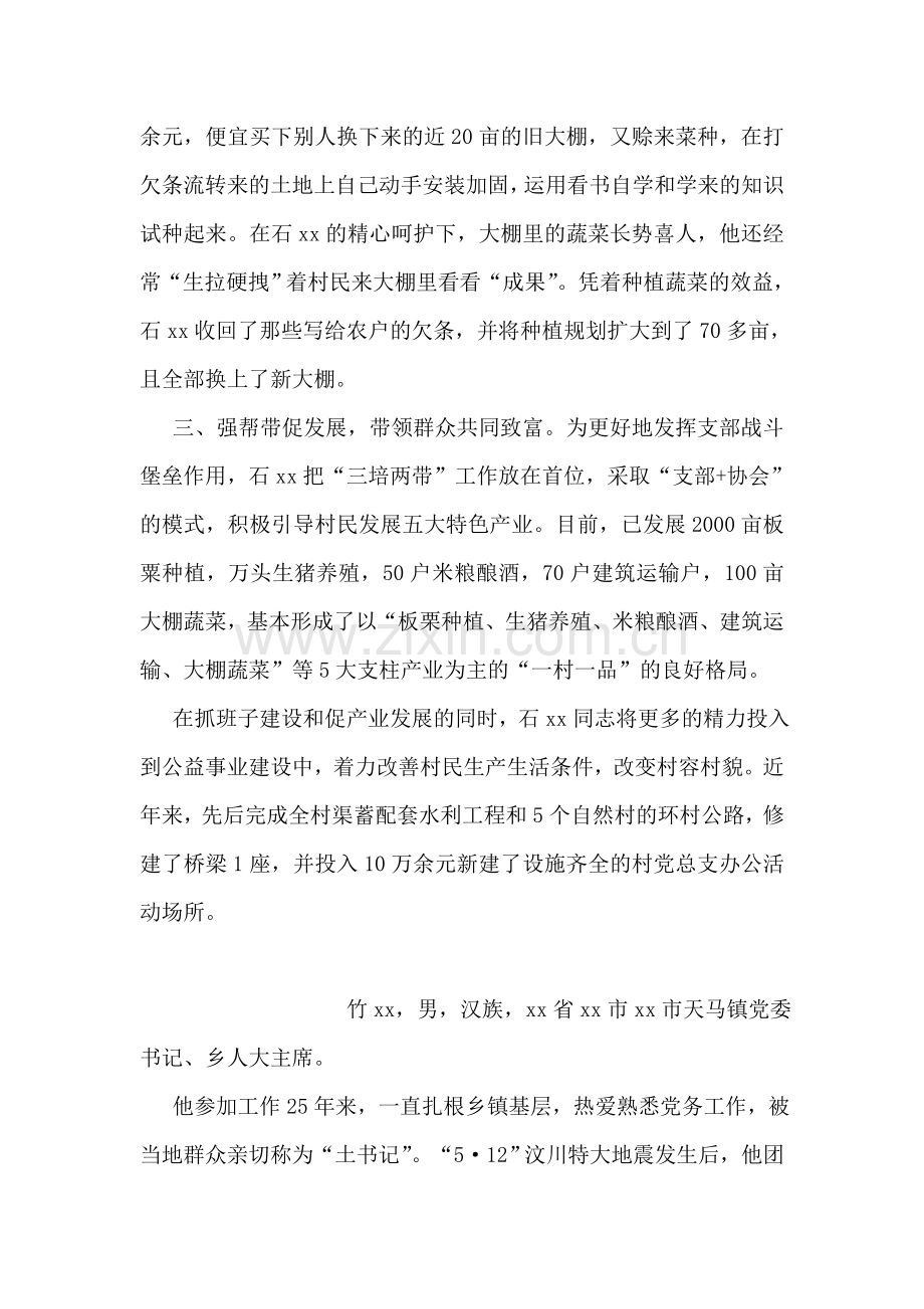 优秀党务工作者先进事迹材料(村党总支书记).doc_第2页