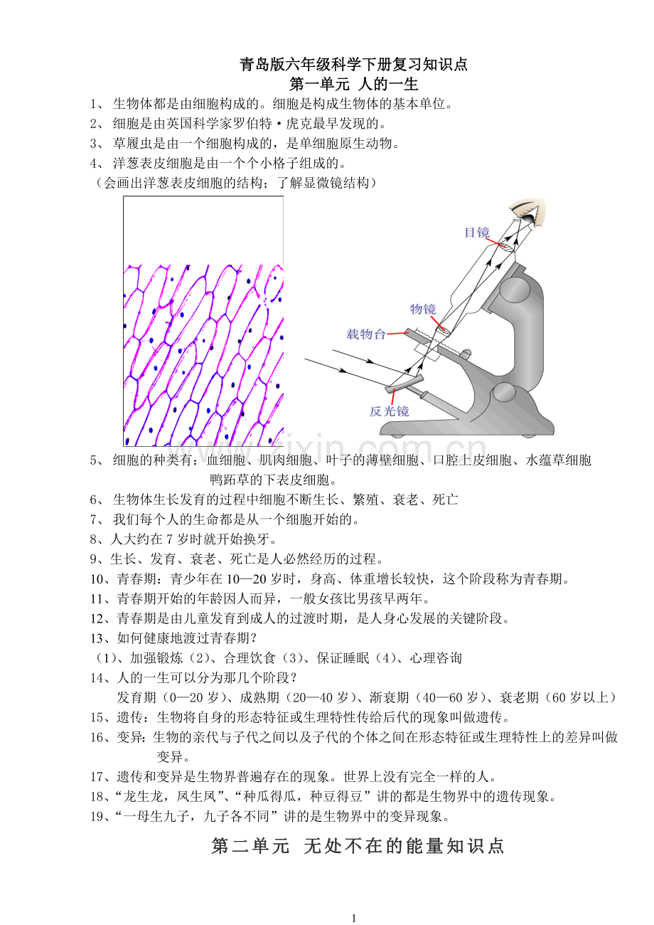 青岛版六年级下册科学知识点总结教学提纲.doc_第1页