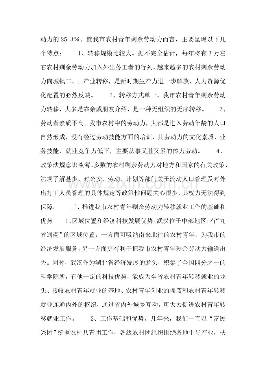 推进我市农村青年剩余劳动力转移工作项目的可行性报告.doc_第2页