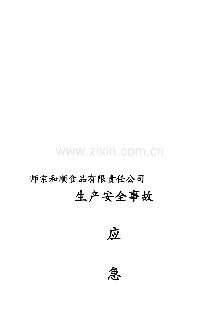 食品公司生产安全事故应急预案(和顺食品有限责任公司)资料.doc_第1页