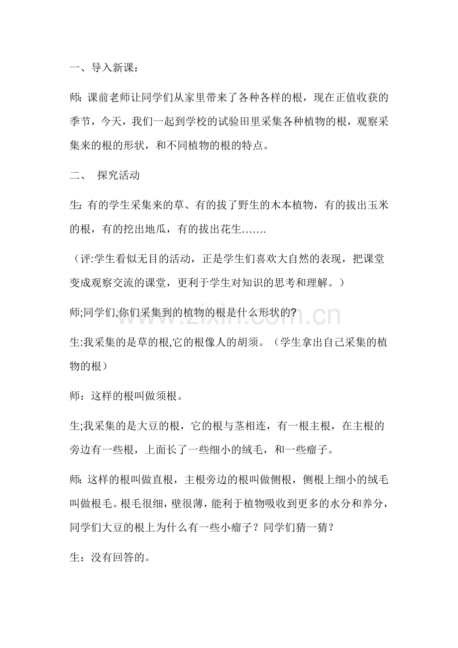 青岛版小学科学四年级上册《植物的根》教学设计.doc_第2页