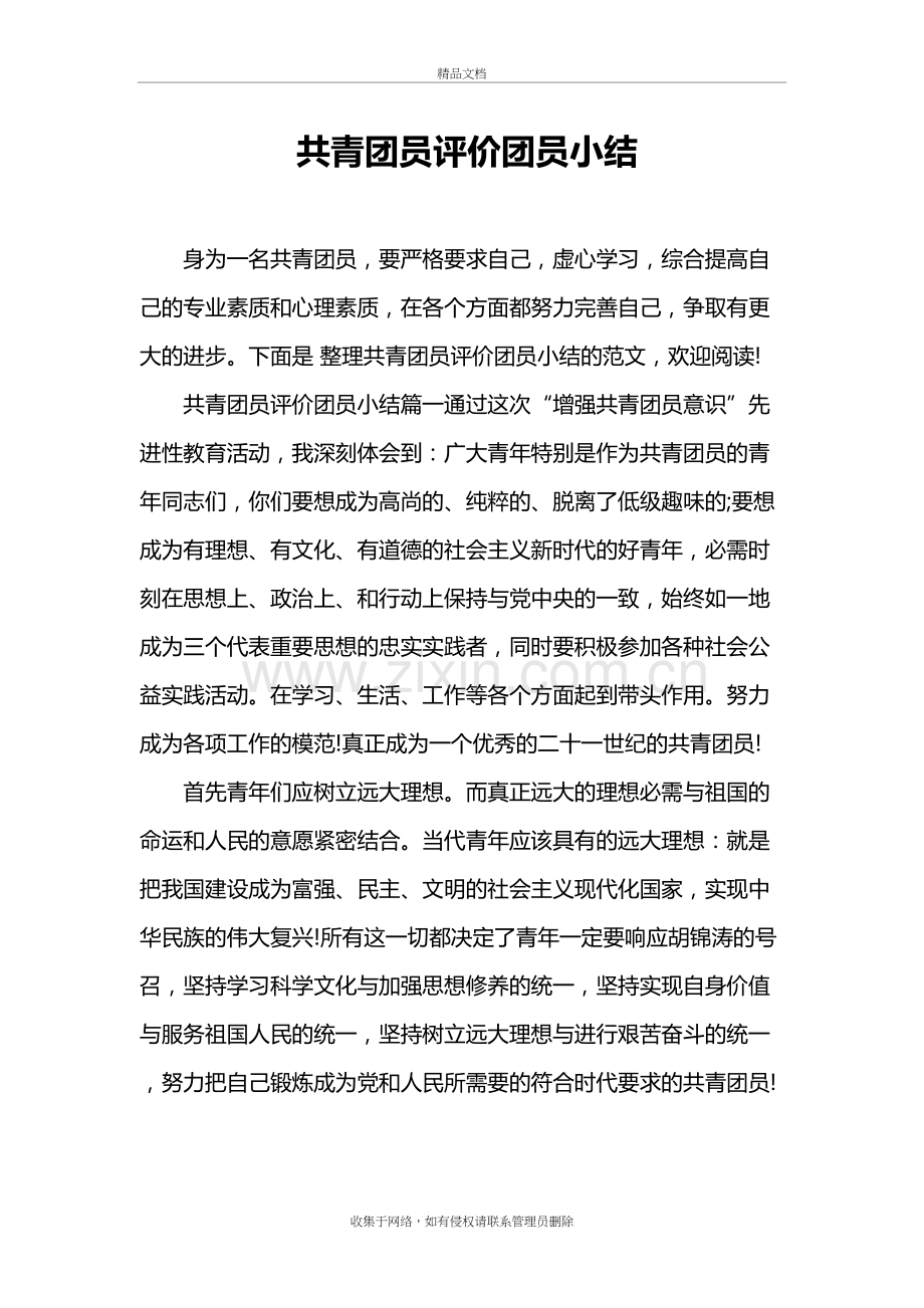 共青团员评价团员小结复习课程.doc_第2页