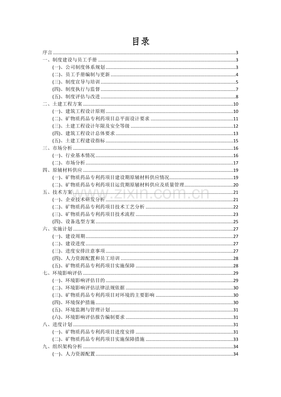 2024年矿物质药品专利药项目投资分析及可行性报告.docx_第2页