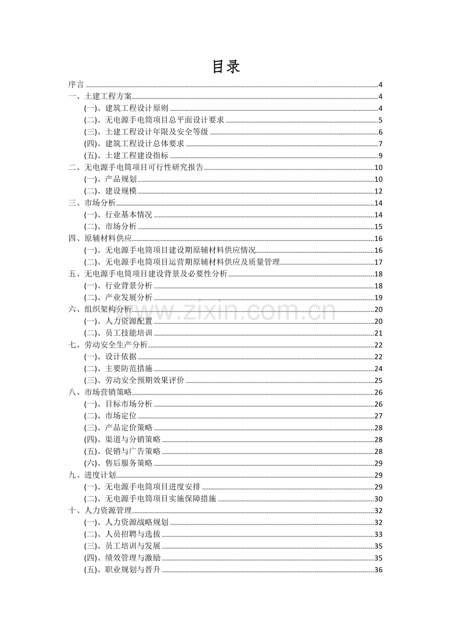 2024年无电源手电筒项目深度研究分析报告.docx_第2页