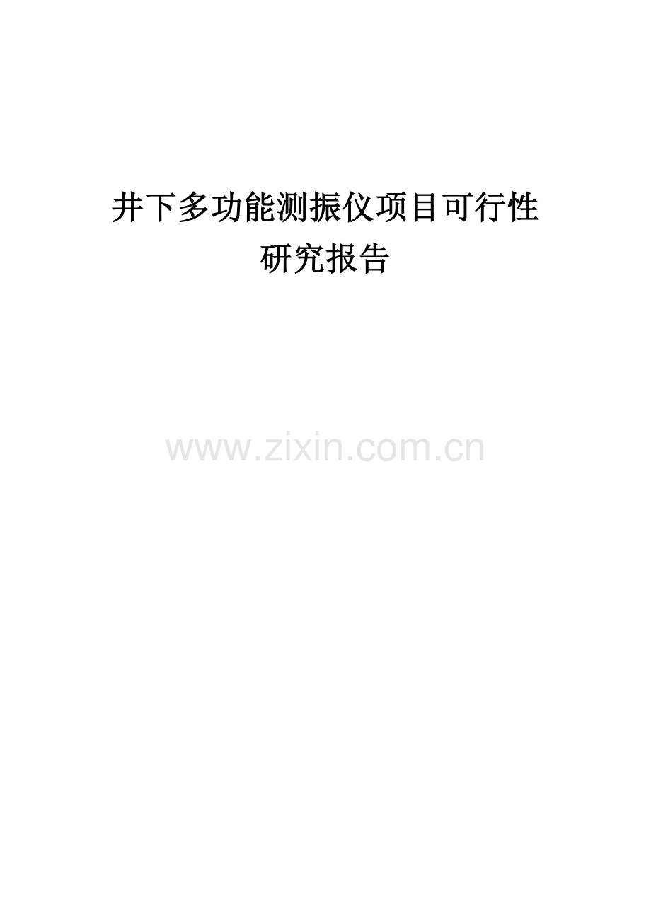 2024年井下多功能测振仪项目可行性研究报告.docx_第1页