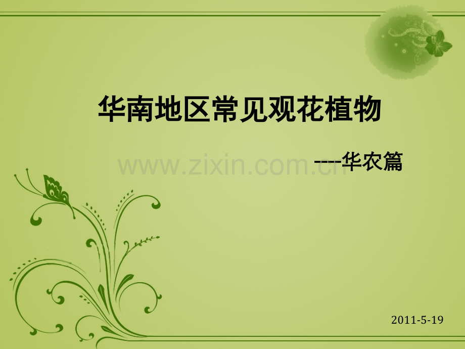 华南地区常见观花植物小结教案资料.ppt_第1页