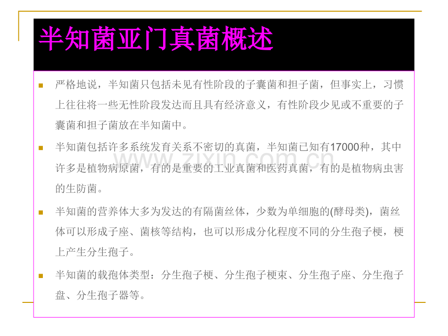 半知菌亚门真菌概述电子教案.ppt_第2页