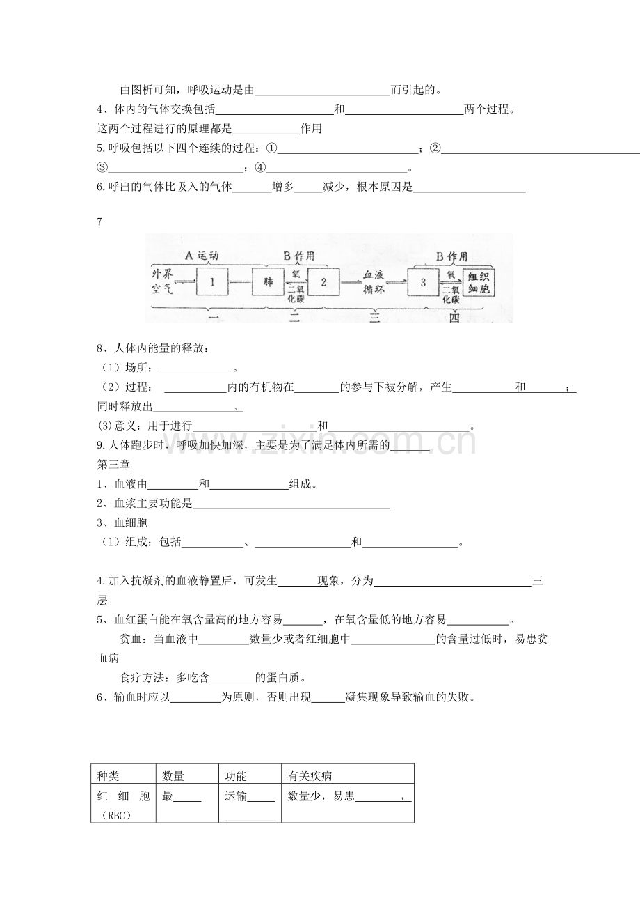 七年级生物下册：基础必背知识点归纳总结备课讲稿.doc_第2页