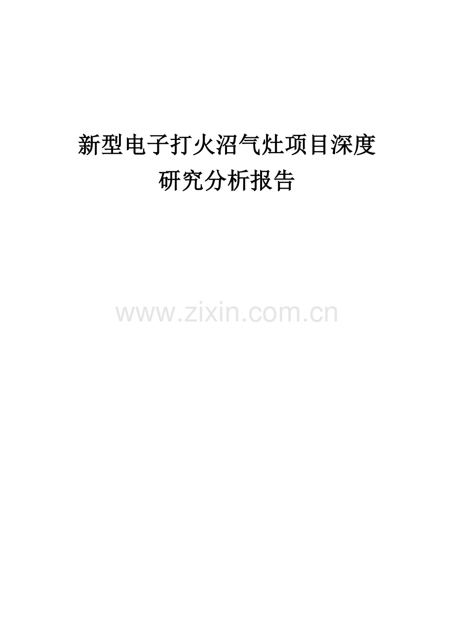 2024年新型电子打火沼气灶项目深度研究分析报告.docx_第1页