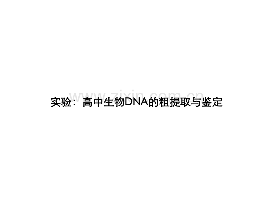 实验：高中生物DNA的粗提取与鉴定说课讲解.ppt_第1页