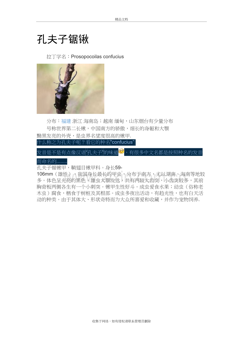 部分国内常见兜虫、锹甲备课讲稿.doc_第2页