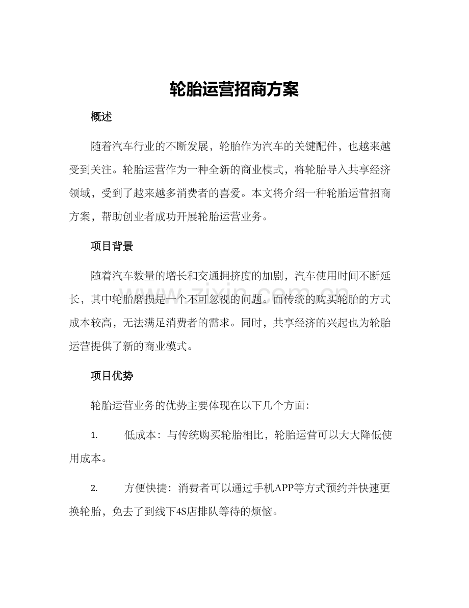 轮胎运营招商方案.docx_第1页