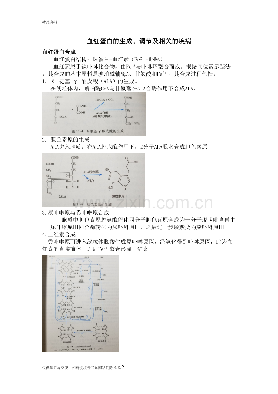 血红蛋白的生成、调节及相关的疾病教学文案.doc_第2页