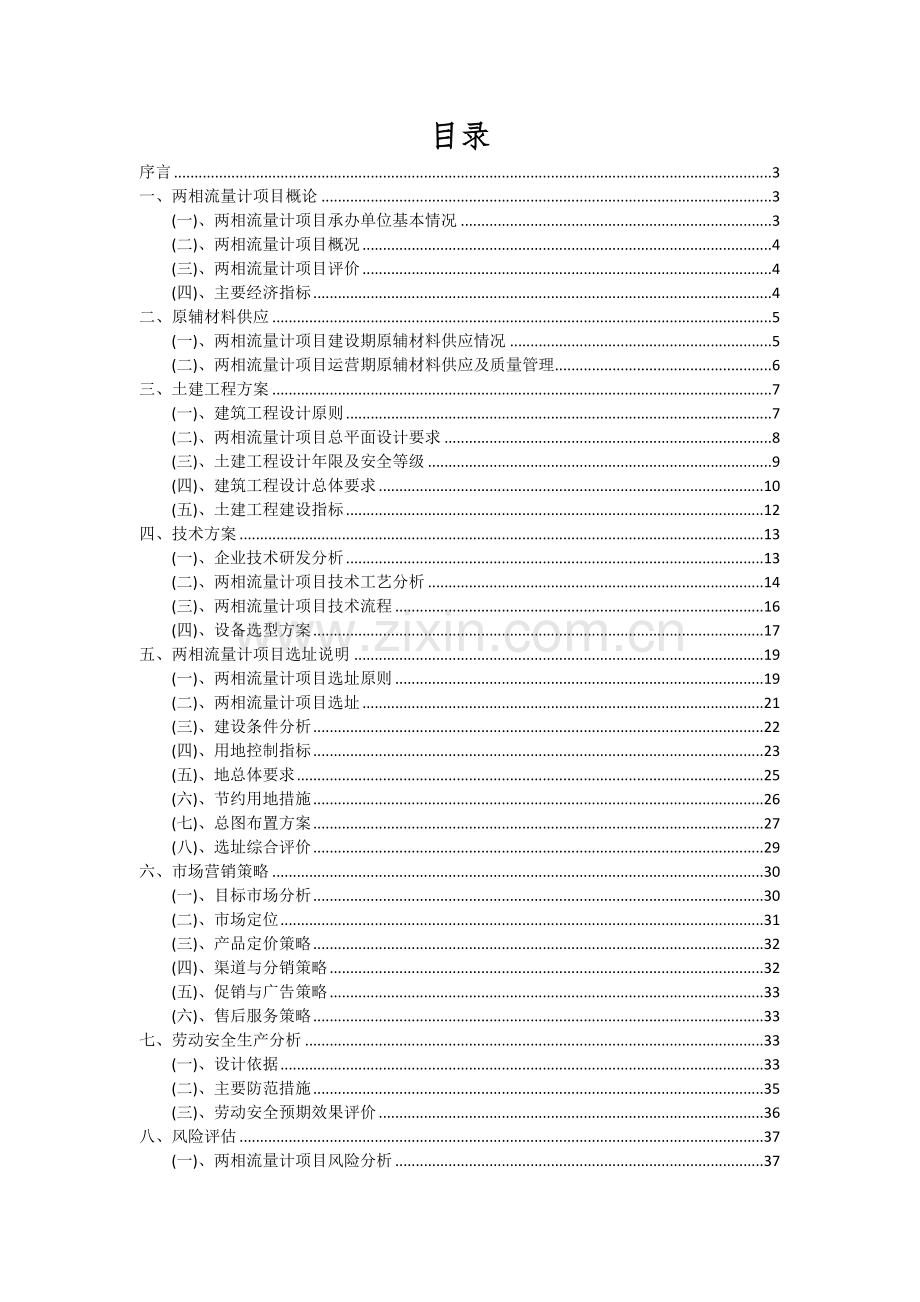 2024年两相流量计项目可行性研究报告.docx_第2页
