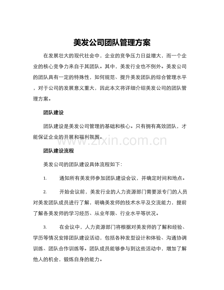 美发公司团队管理方案.docx_第1页