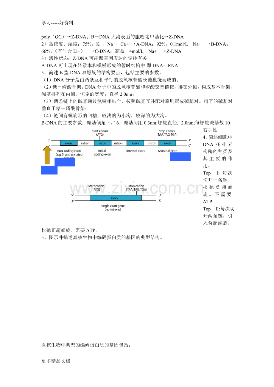 分子生物学2-7章作业及答案复习进程.doc_第2页