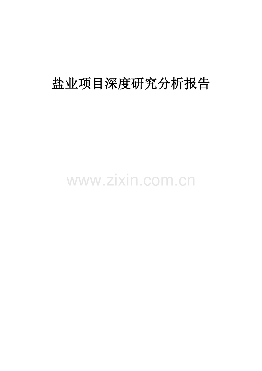 2024年盐业项目深度研究分析报告.docx_第1页