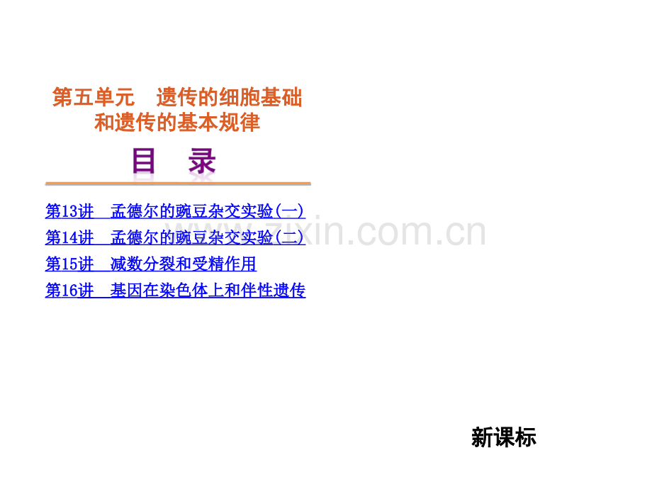 遗传的细胞基础和遗传的基本规律一轮复习讲解学习.ppt_第1页