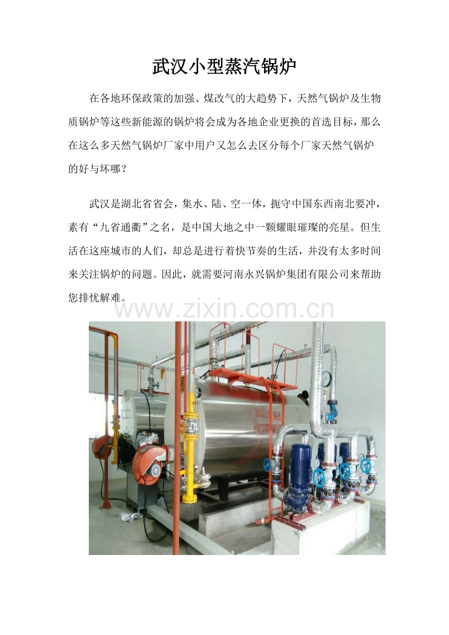 武汉小型蒸汽锅炉讲课教案.doc_第1页