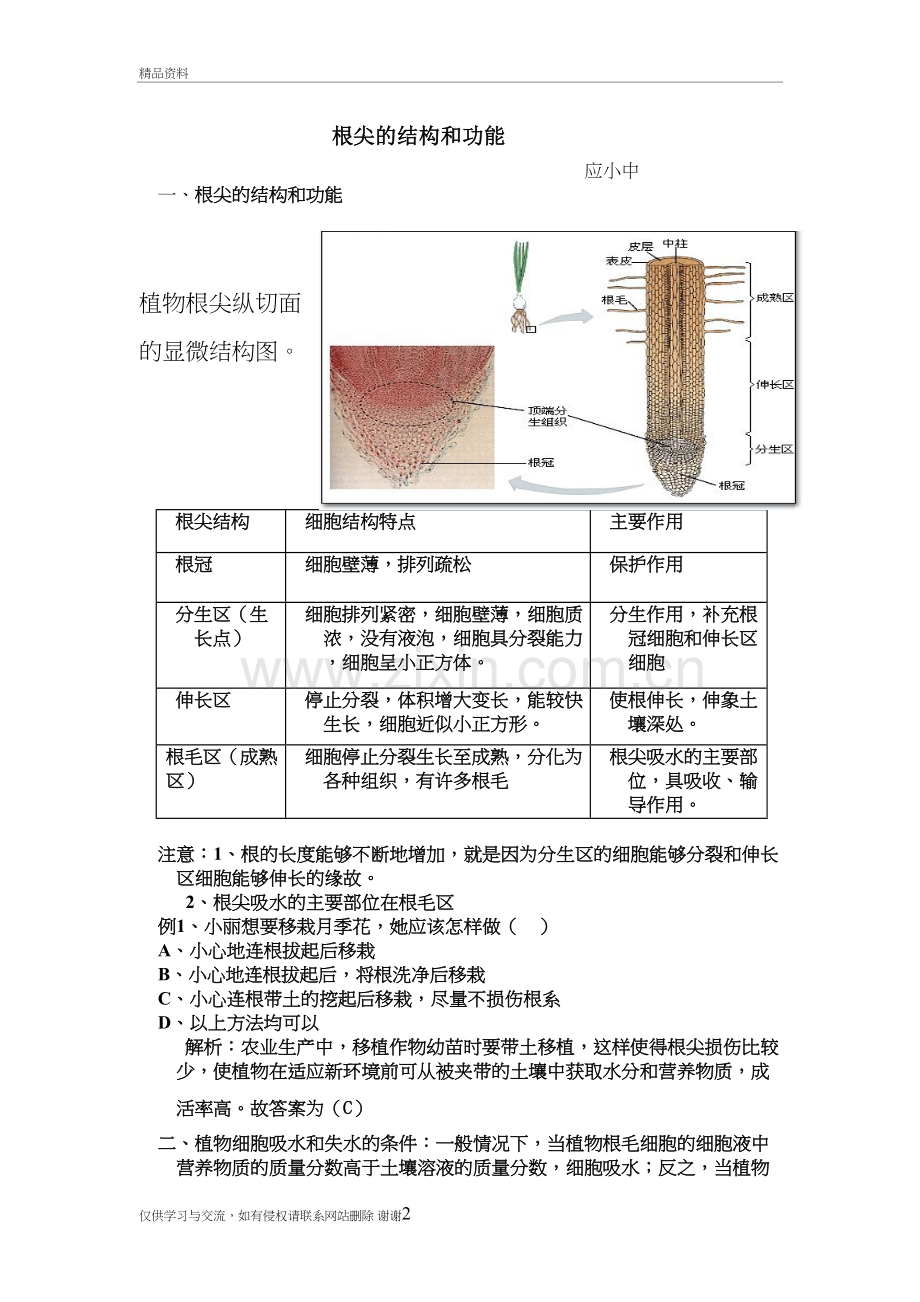 根尖的结构和功能复习进程.doc_第2页
