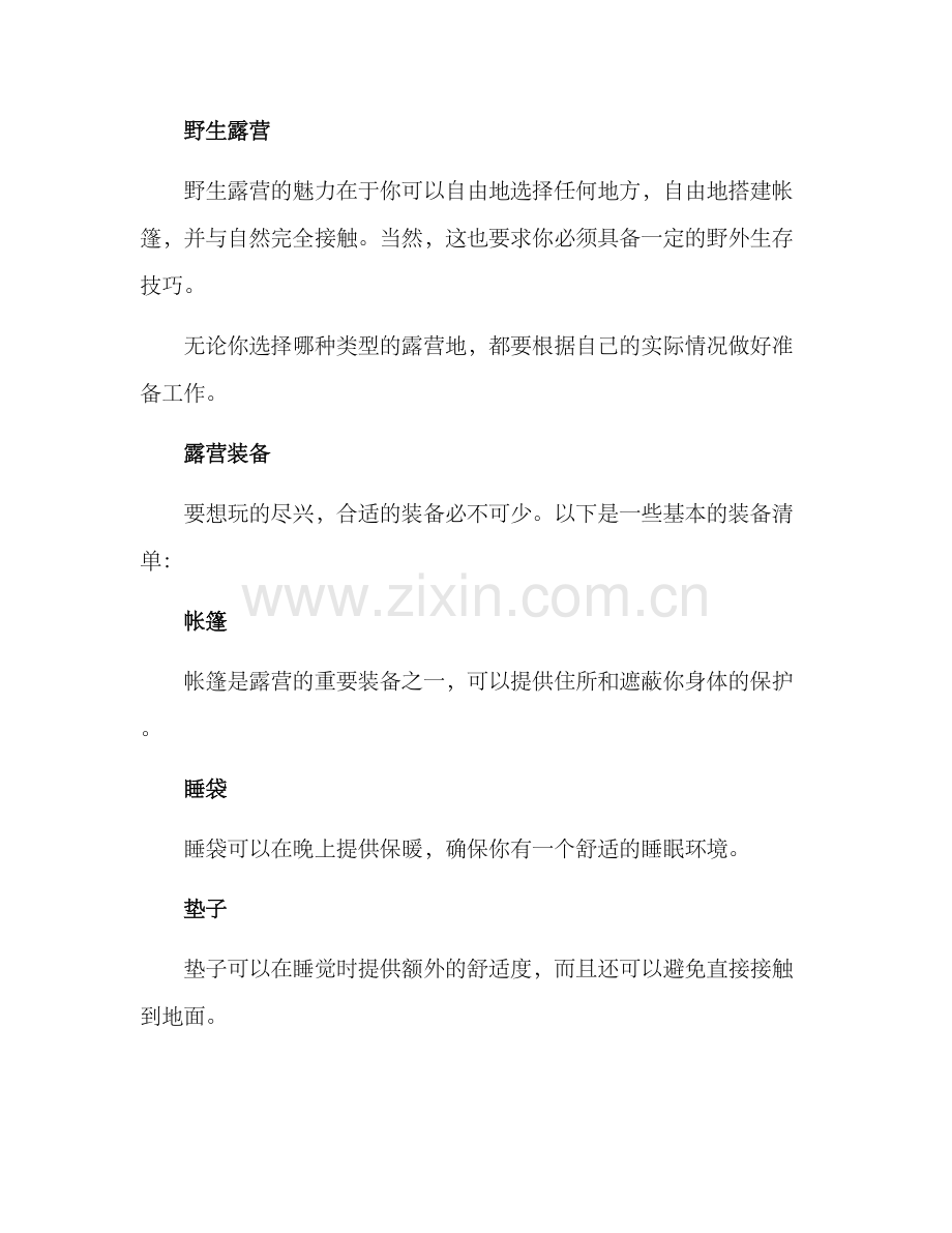 露营休闲生活方案.docx_第2页