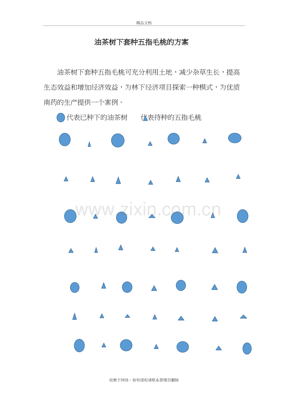 油茶树下套种五指毛桃的方案备课讲稿.doc_第2页