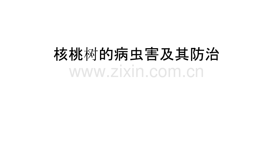 核桃树的病虫害及其防治培训讲学.ppt_第1页