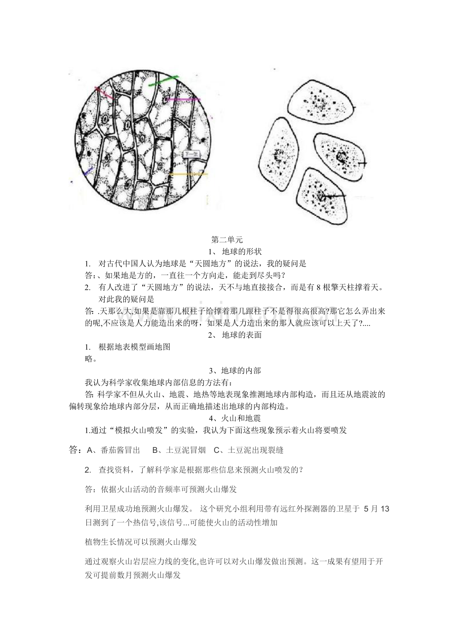 苏教版六年级上册科学活动记录参考答案培训讲学.doc_第2页