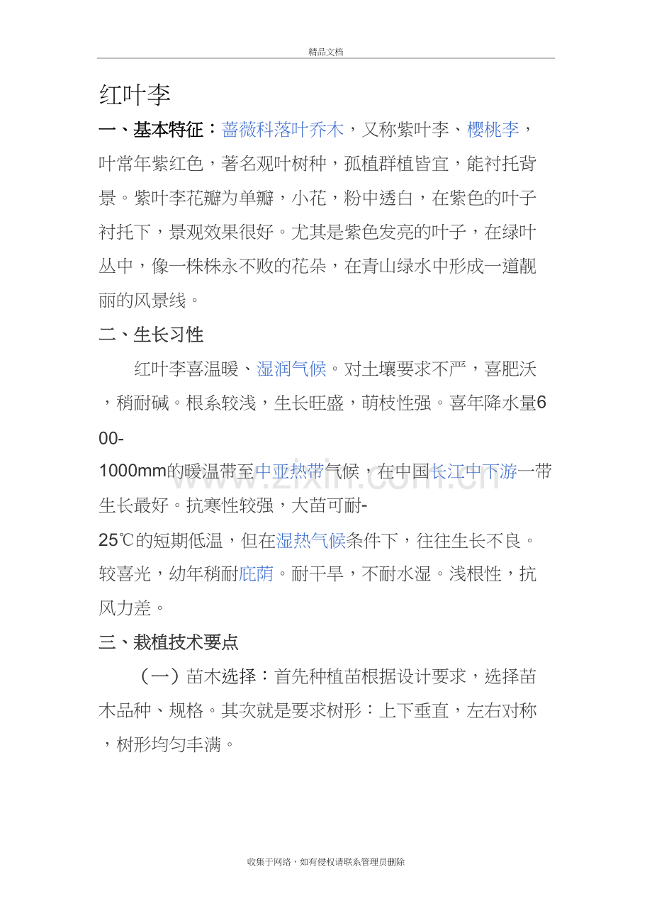红叶李栽植要点复习课程.doc_第2页