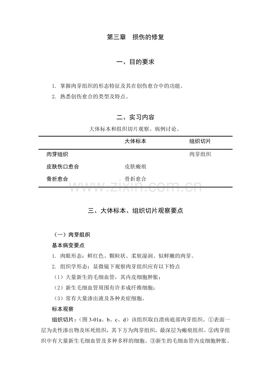 第三章-损伤的修复讲课稿.doc_第1页