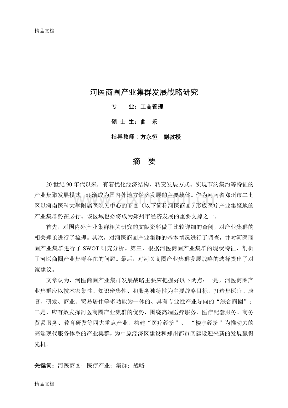 医疗商圈的产业集群发展策略资料.doc_第1页