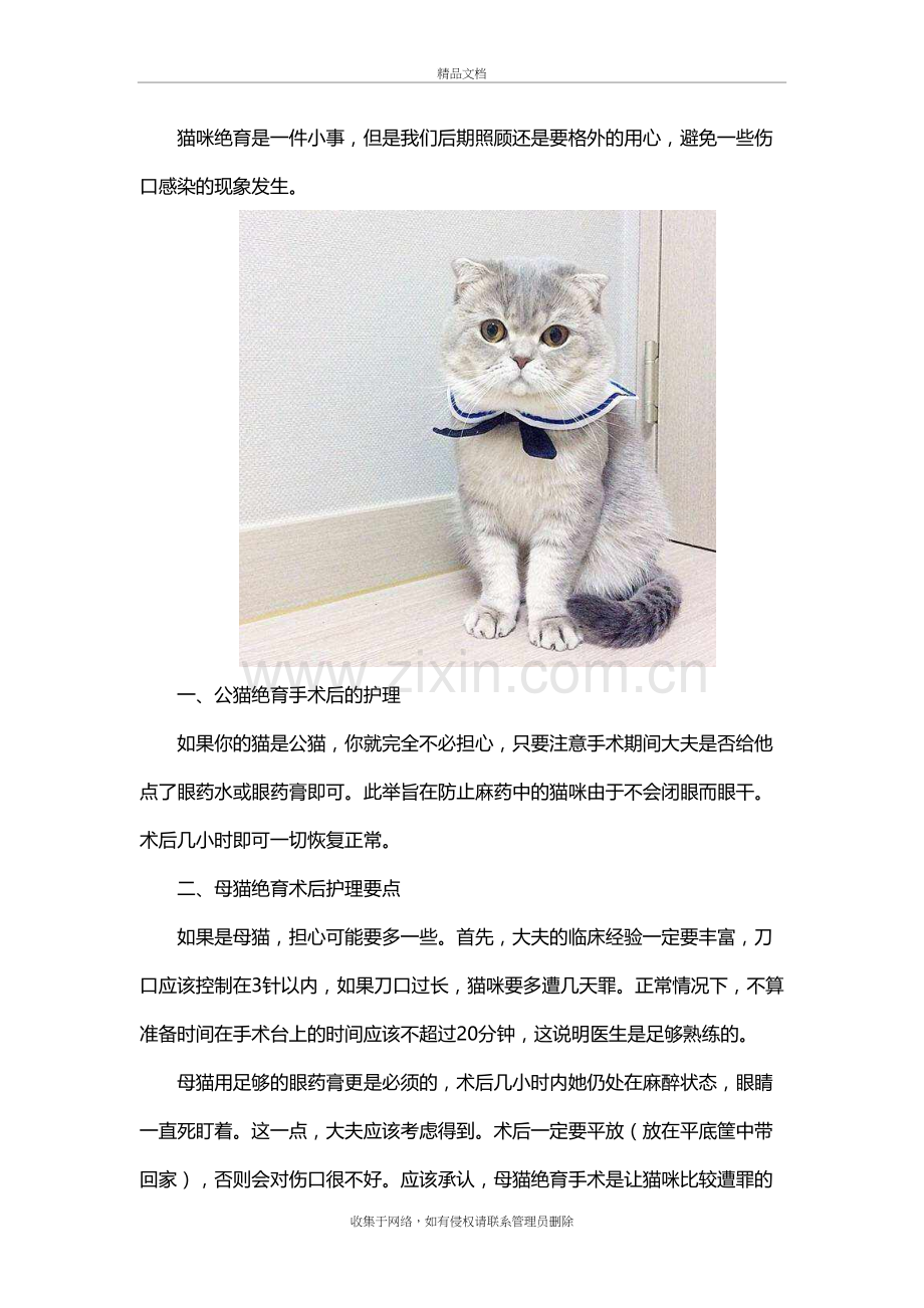 猫咪绝育照顾的注意事项演示教学.docx_第2页