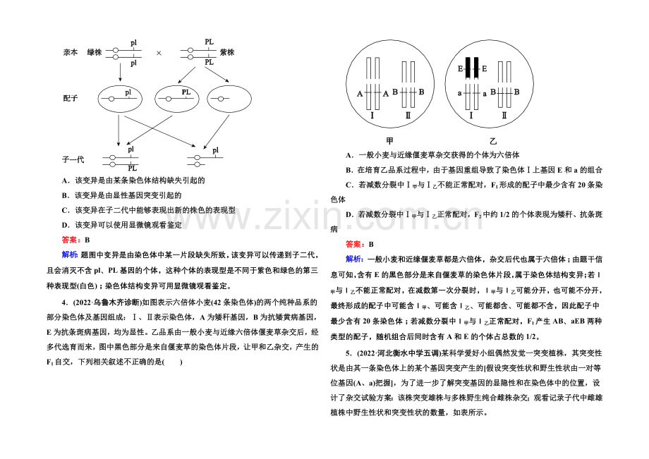 2021届高考生物二轮复习专题提能专训7变异、育种和进化.docx_第2页