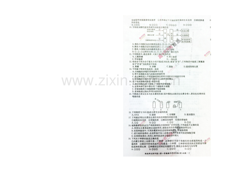 湖南师大附中2020-2021学年高二上学期期中考试-生物(理)-扫描版含答案.docx_第2页