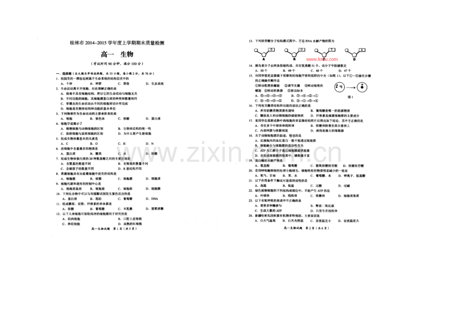 广西省桂林市2020-2021学年高一上学期期末质量检测生物试题-扫描版含答案.docx_第1页