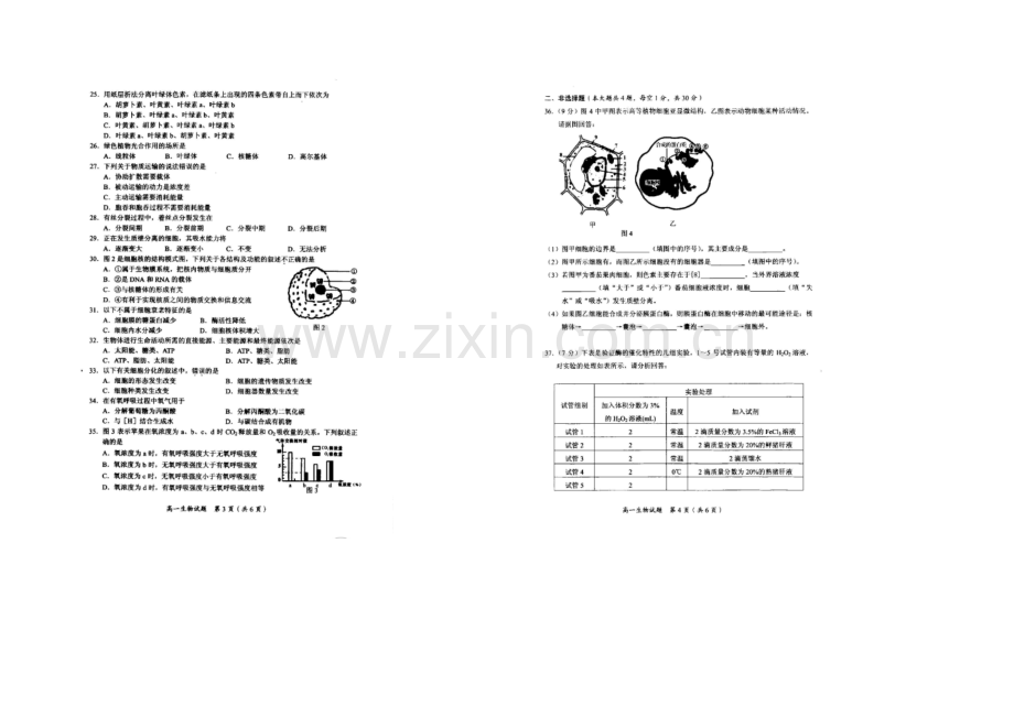 广西省桂林市2020-2021学年高一上学期期末质量检测生物试题-扫描版含答案.docx_第2页