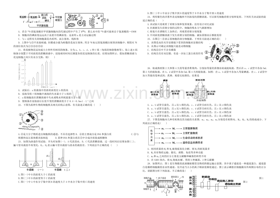 河南省实验中学2020-2021学年高一上学期期中考试-生物-Word版含答案.docx_第2页