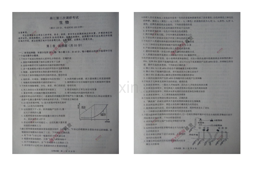 江苏省宿迁市2021届高三第三次模拟考试-生物-扫描版含答案.docx_第1页