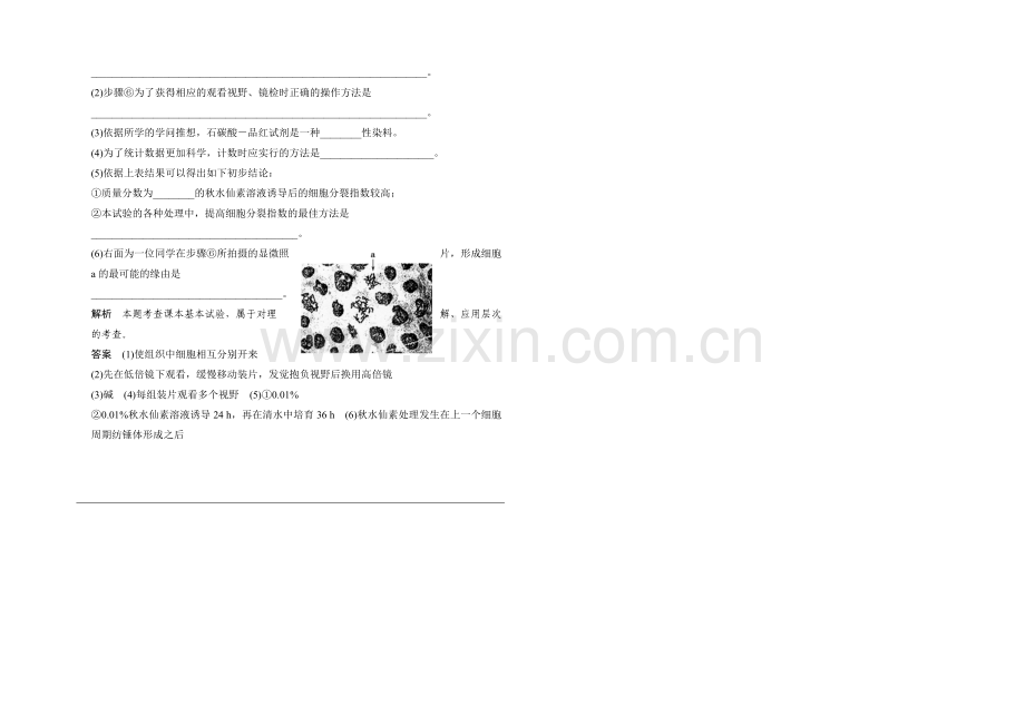 2021高考生物(人教版-山东专用)总复习作业：必修1-第4单元-第1讲-细胞的增殖.docx_第2页