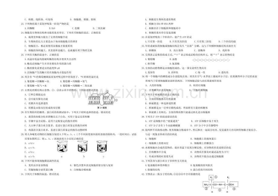 浙江省嘉兴一中2020-2021学年高二上学期期中考试生物(文)-Word版含答案.docx_第2页