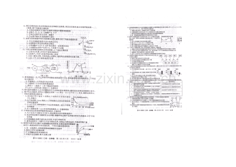 全国大联考2022届高三上学期第一次联考生物试卷-扫描版含答案.docx_第2页