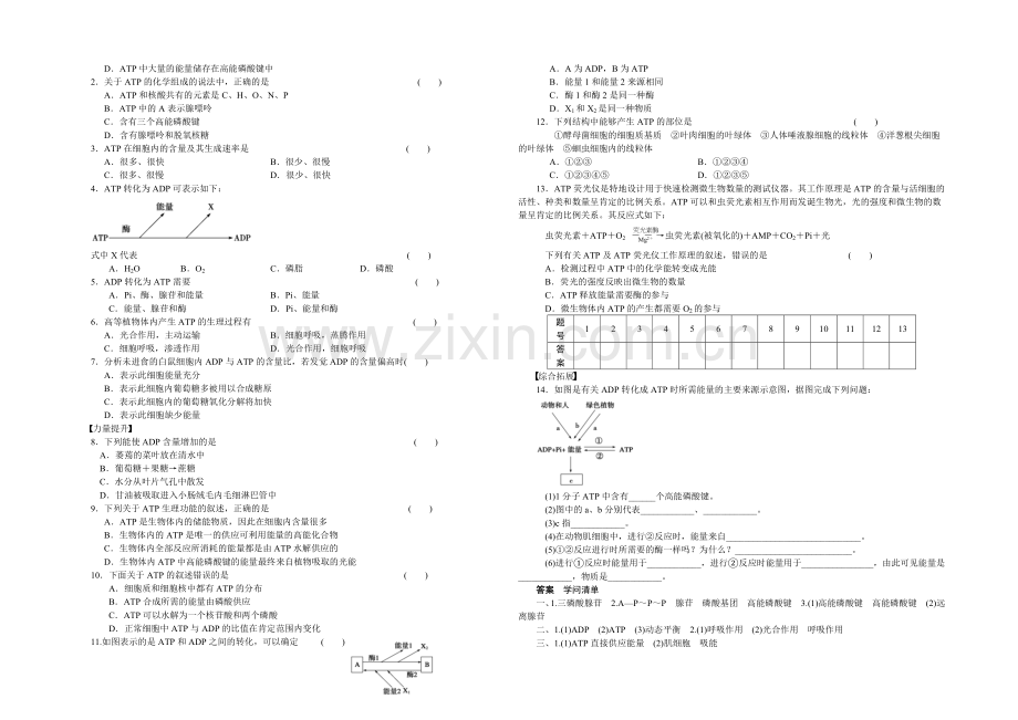 2021-2022高中生物(人教版必修一)：第五章-细胞的能量供应和利用-课时作业19.docx_第2页